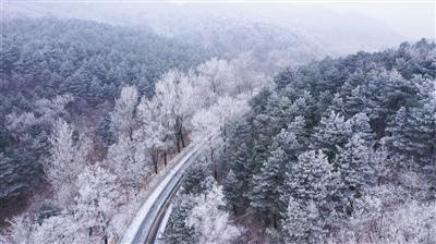 诚捷智能终止科创板IPO 原拟募5.87亿元招商证券保荐